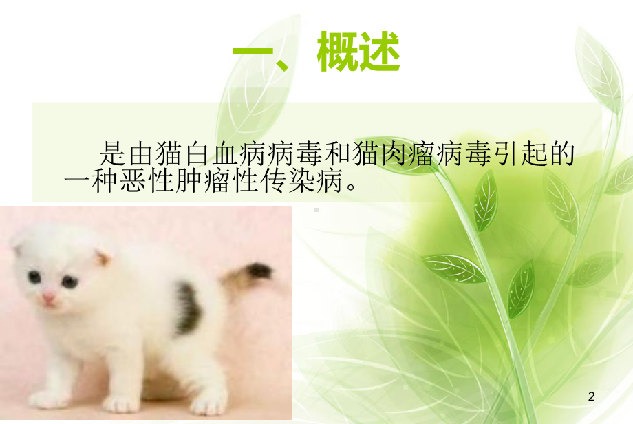 猫白血病资料课件.ppt_第2页