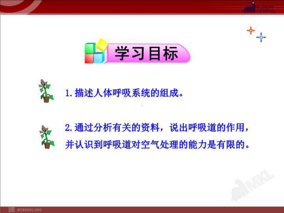 最新呼吸道对空气的处理七级下册课件.ppt_第3页