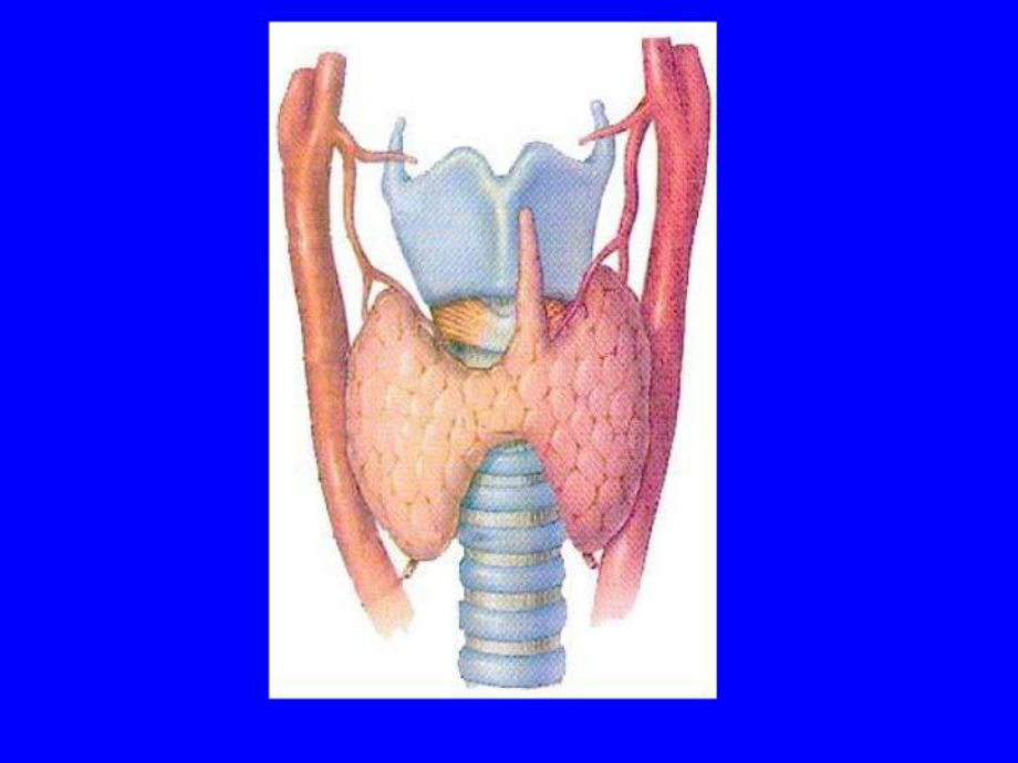 最新甲状腺疾病甲亢课件.ppt_第3页