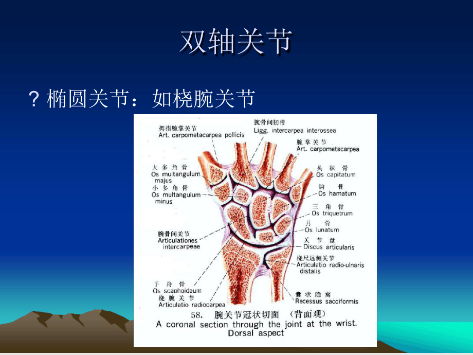 康复运动学基础3课件.ppt_第1页