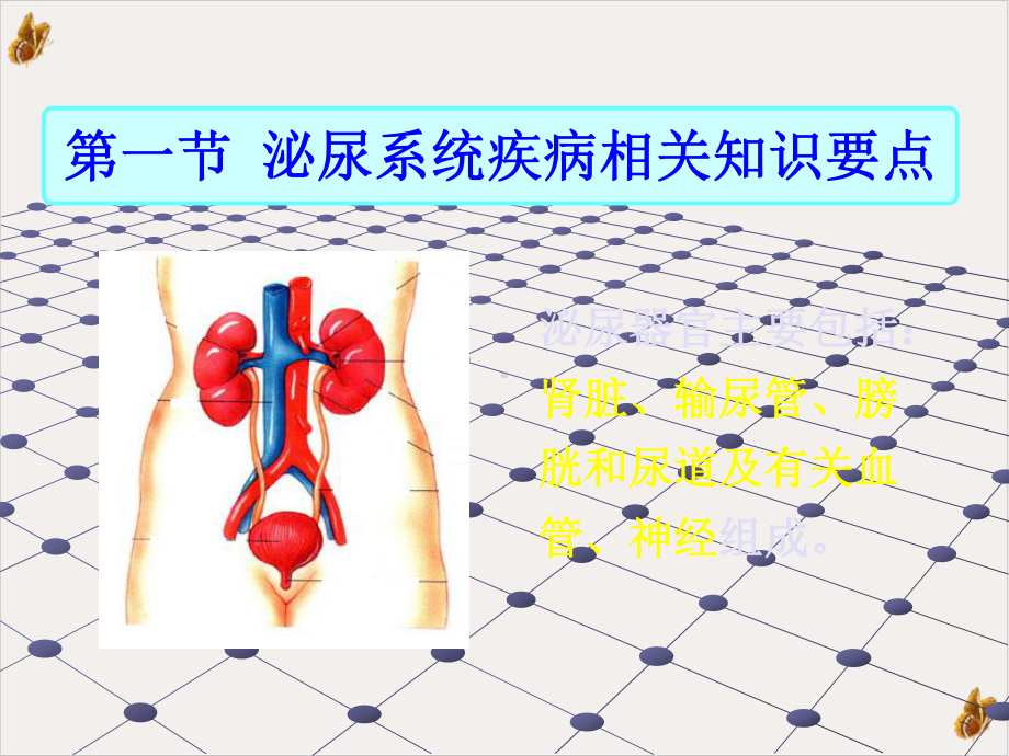 泌尿系统疾病常见症状体征的护理课件整理.pptx_第1页