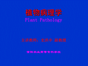 植物病理学薯类病害课件.ppt