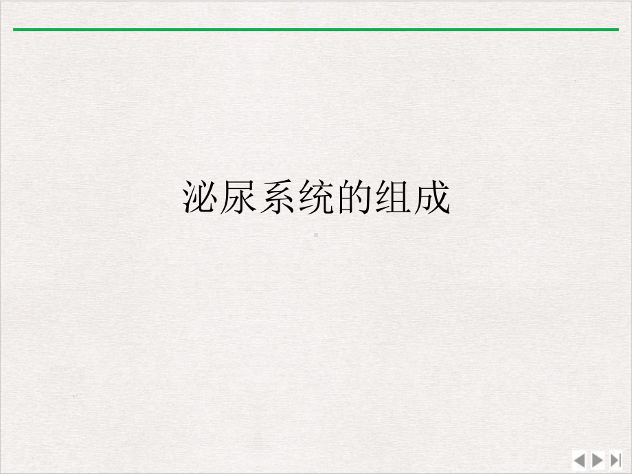 泌尿系统的组成课件整理.ppt_第1页