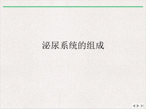 泌尿系统的组成课件整理.ppt