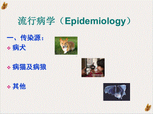 狂犬病病例分析培训课程课件.pptx