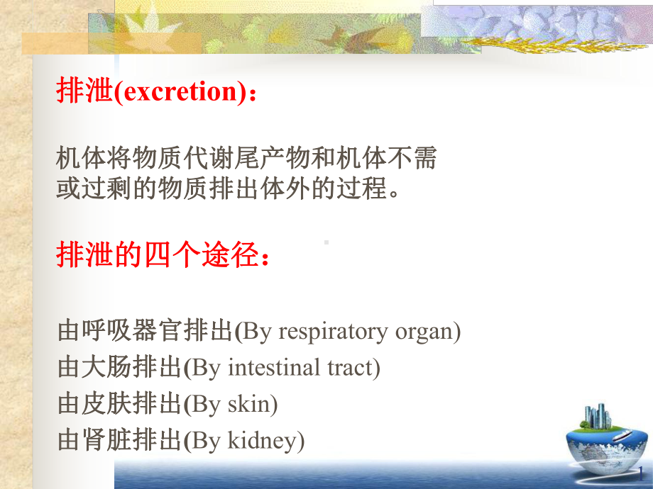 泌尿生理学课件.pptx_第1页