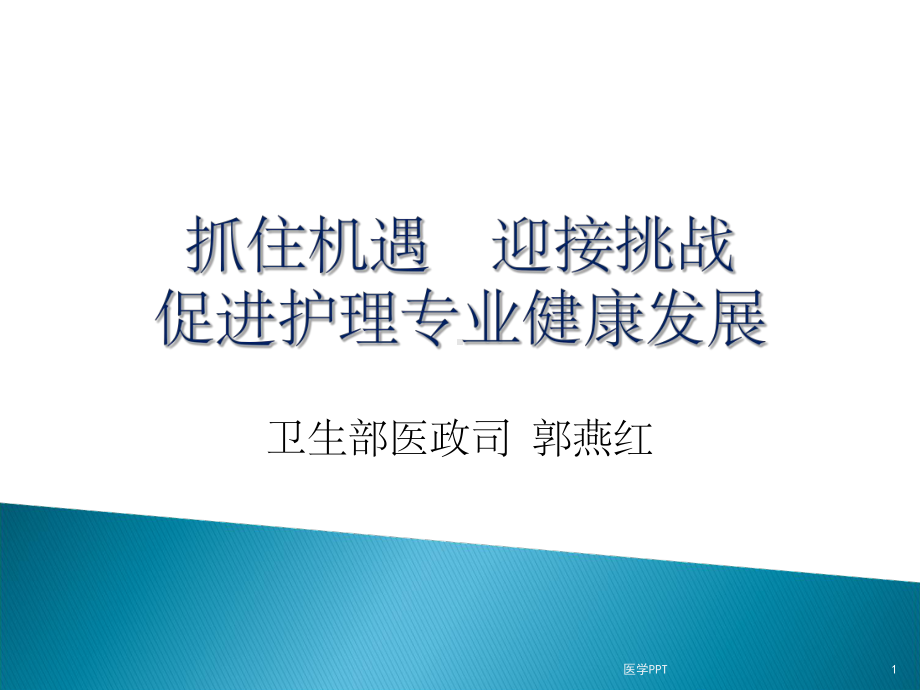 抓住机遇迎接挑战促进护理专业健课件.ppt_第1页