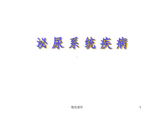 泌尿系统纲要课件.ppt