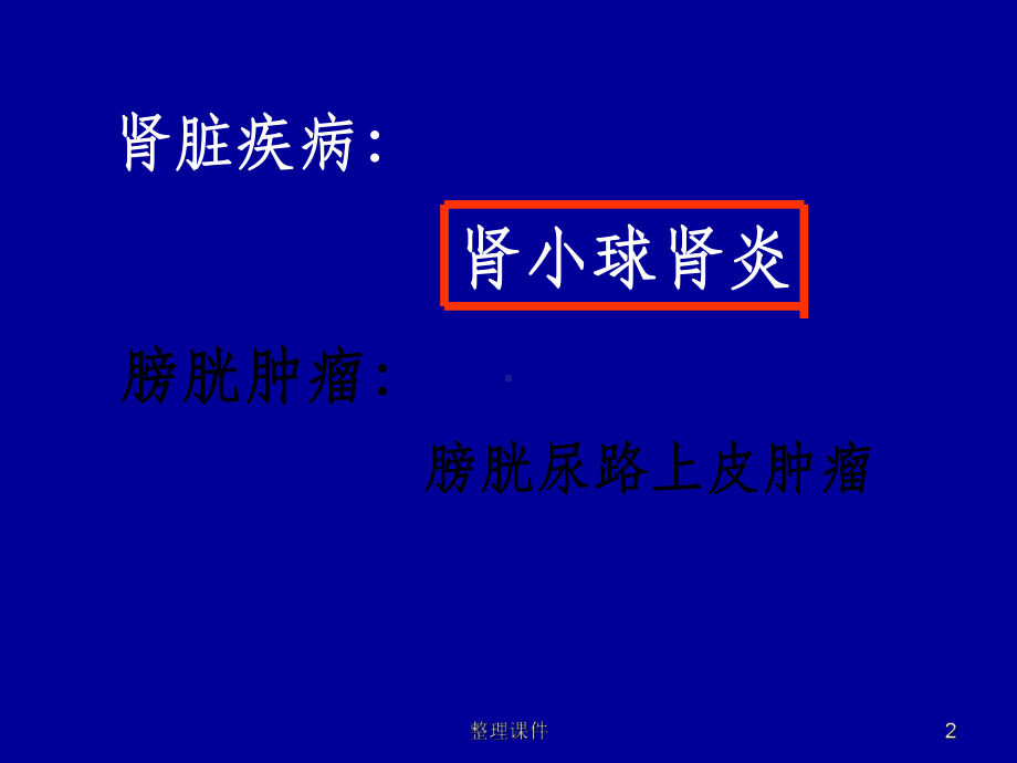 泌尿系统纲要课件.ppt_第2页