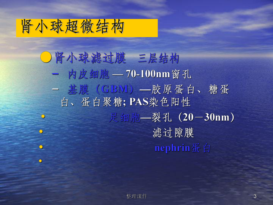 泌尿系统纲要课件.ppt_第3页