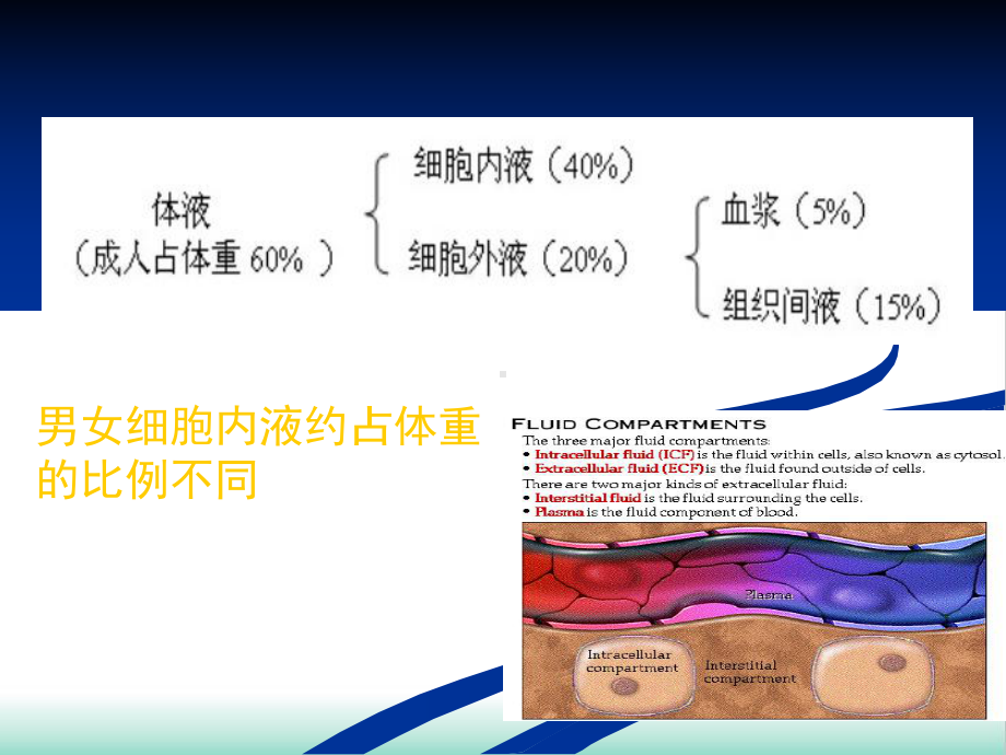 水电解质酸碱代谢失衡病人护理培训课件.pptx_第3页