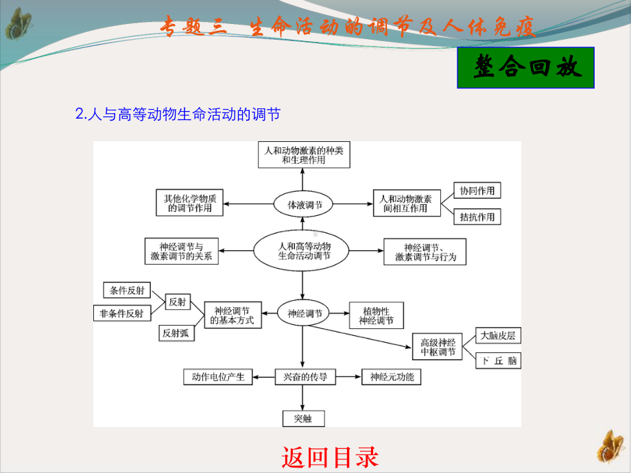 生命活动的调节及人体免疫课件.pptx_第3页