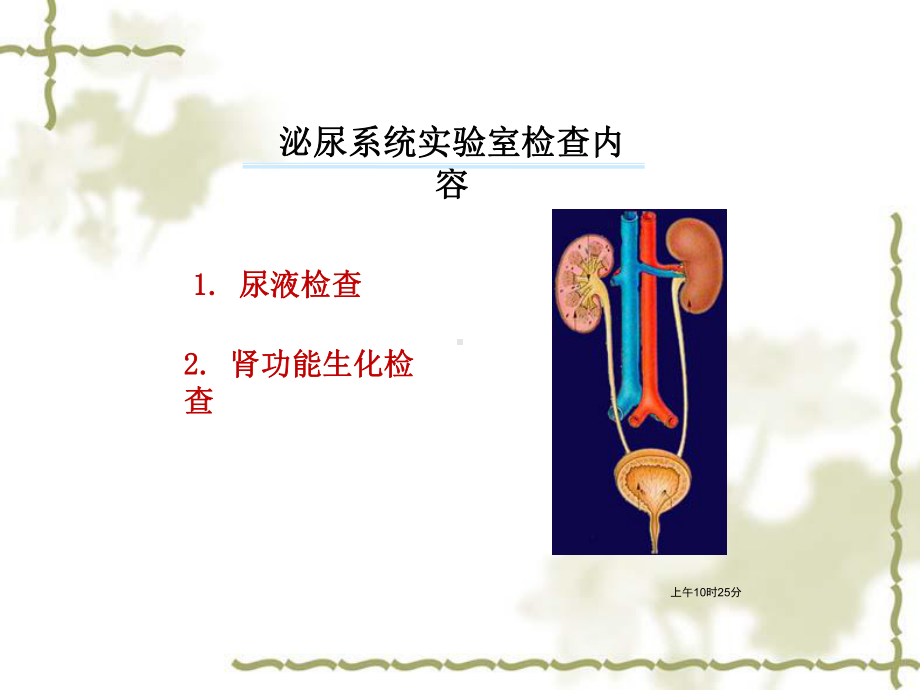 尿液及肾功能检查课件.ppt_第2页