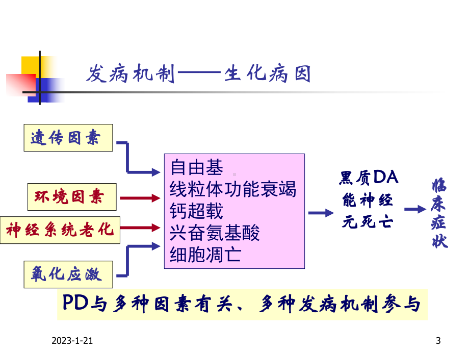 帕金森病的讲义课件.ppt_第3页