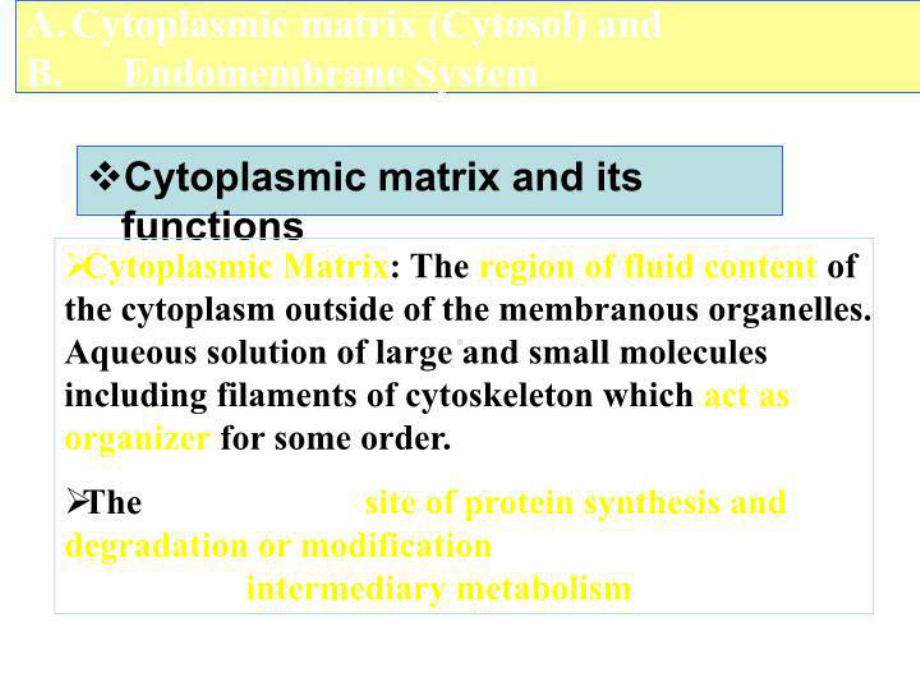 最新考研资料细胞生物学六章基质与内膜(上)课件.ppt_第3页