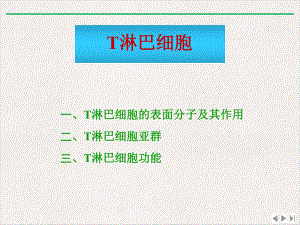 淋巴细胞及T细胞免疫应答总结精选课件.pptx