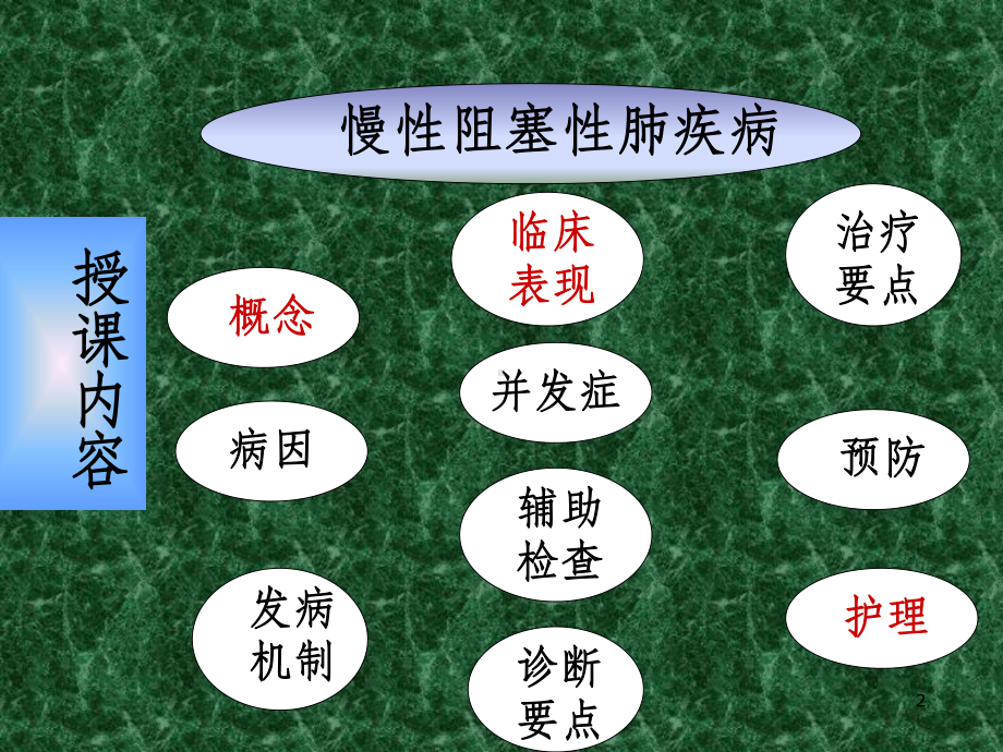 慢性阻塞性肺疾病课件(同名305).ppt_第2页