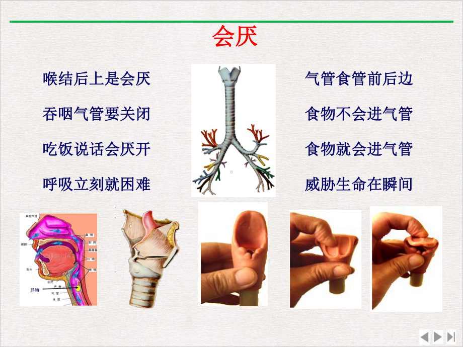 气管异物处理新版课件.pptx_第3页