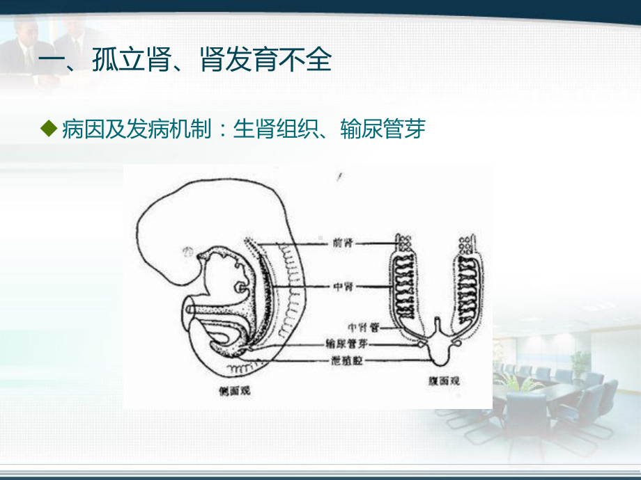 泌尿系统先天性畸形课件.ppt_第2页