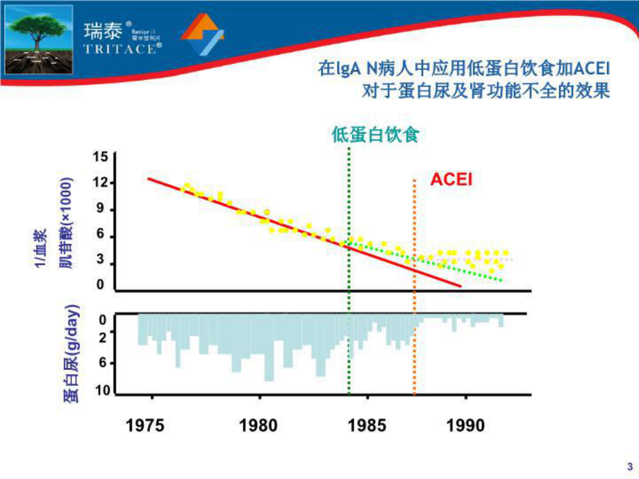 最新从肾科角度看ACEI的临床应用课件.ppt_第3页