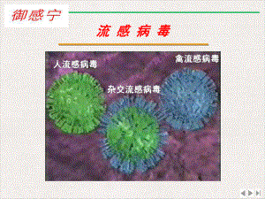 流行性感冒裂解疫苗最新版课件.pptx