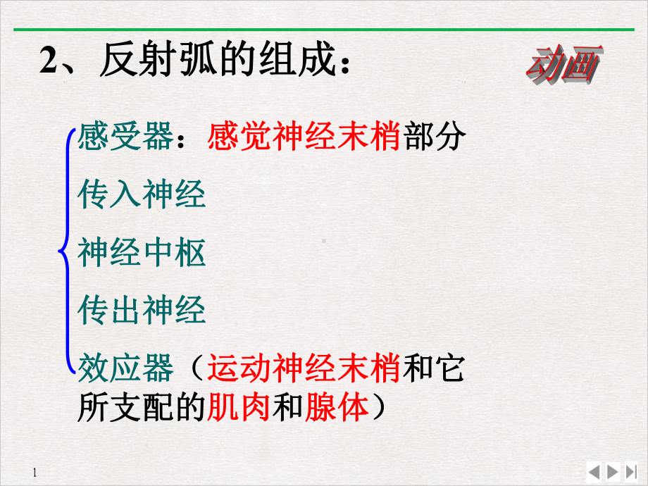 独家讲解通过神经系统的调节完美课课件.pptx_第2页