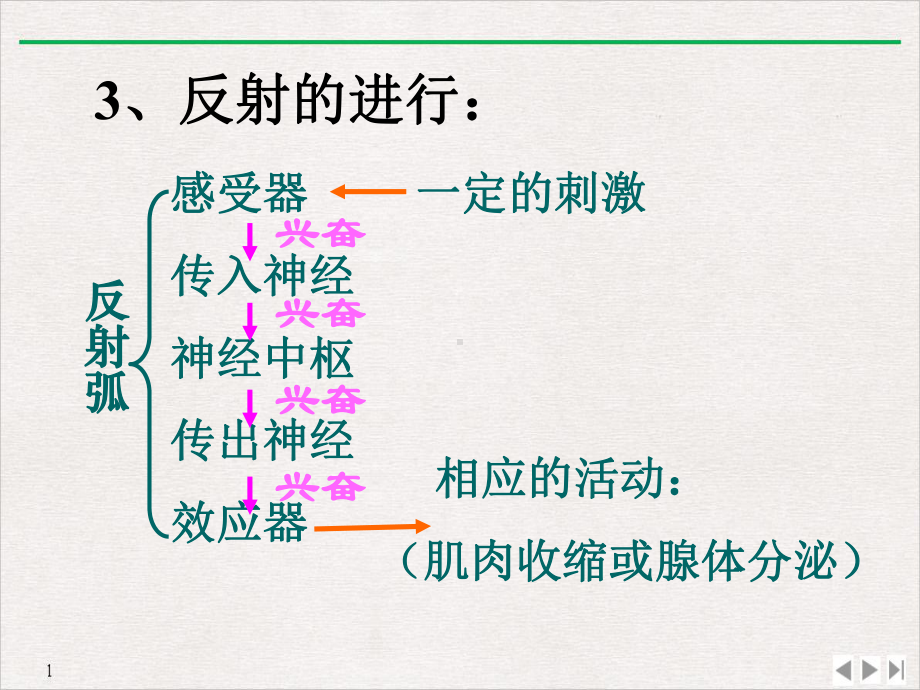 独家讲解通过神经系统的调节完美课课件.pptx_第3页