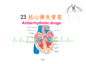 抗心律失常药课件(同名1204).ppt