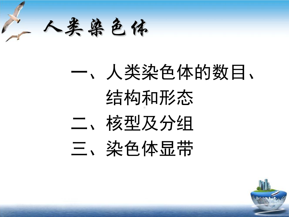 染色体病专升本课件.ppt_第3页