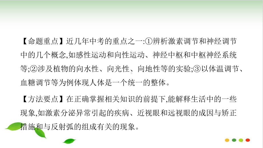 浙教版科学中考复习：生物的活动调节课件.pptx_第2页