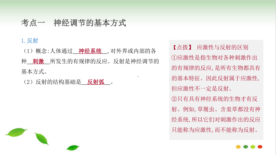 浙教版科学中考复习：生物的活动调节课件.pptx_第3页