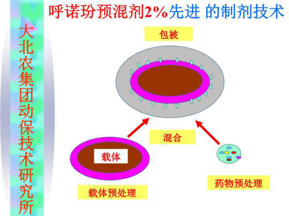 最新抗呼吸道感染药物课件.ppt_第3页