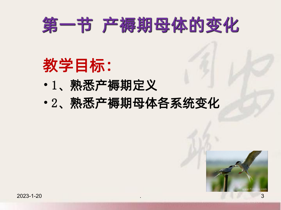 正常产褥期及护理分析-课件.ppt_第3页