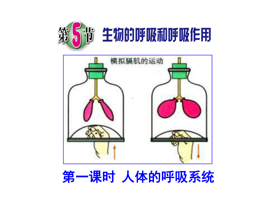 生物的呼吸和呼吸作用浙教版科学优质公开课课件.pptx_第1页