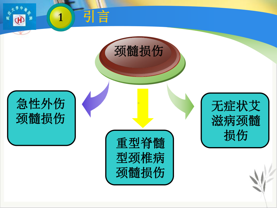 扩散张量成像在脊髓损伤中的应用课件.pptx_第3页