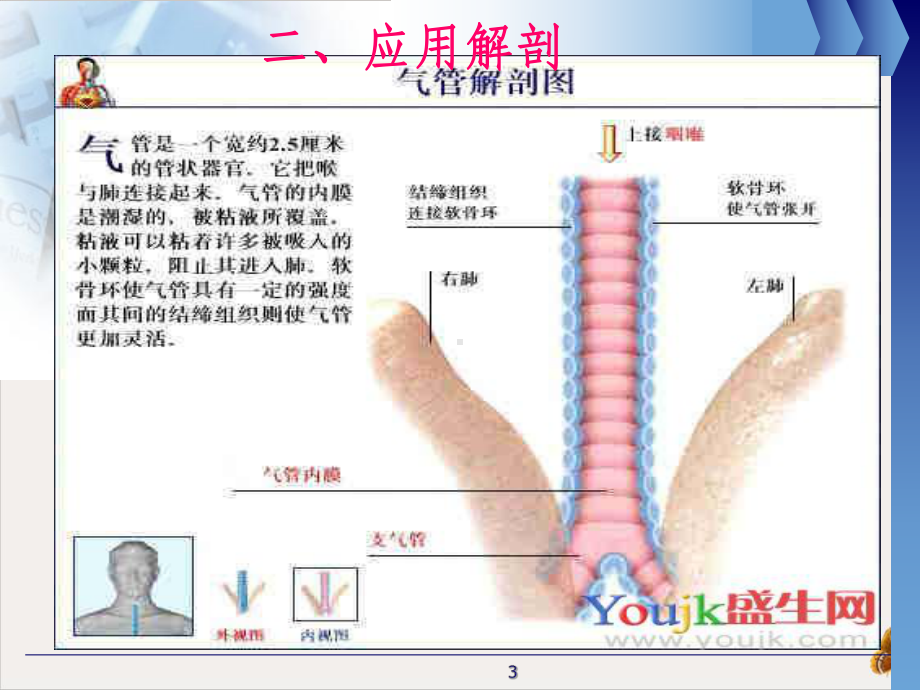 气管切开病人的观察与护理护理部课件(同名58).pptx_第2页