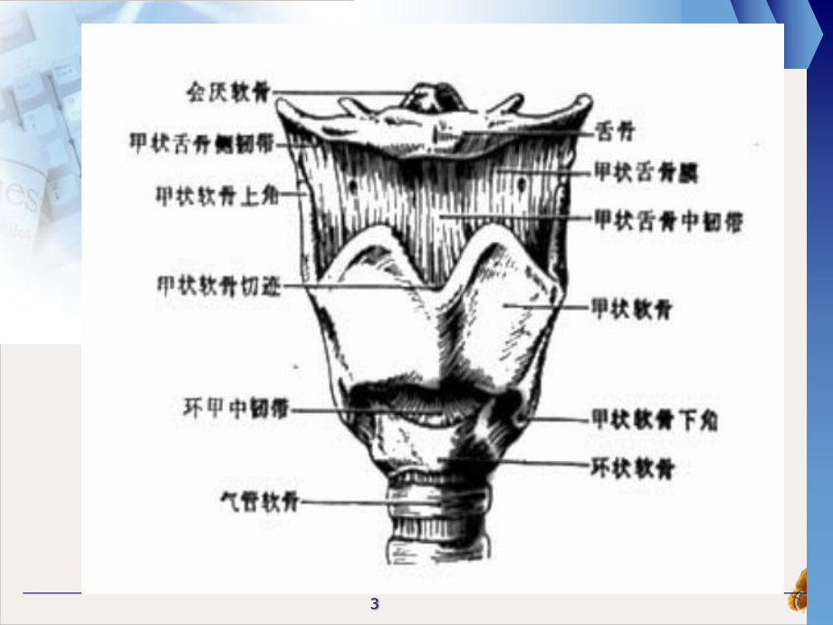 气管切开病人的观察与护理护理部课件(同名58).pptx_第3页