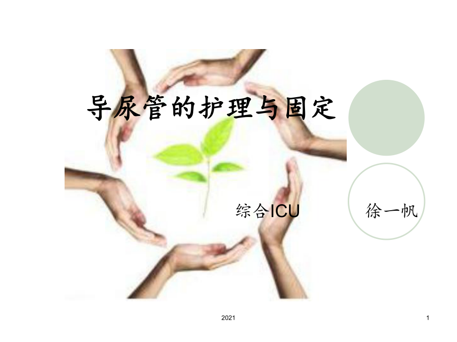 导尿管的护理及固定模板课件.ppt_第1页