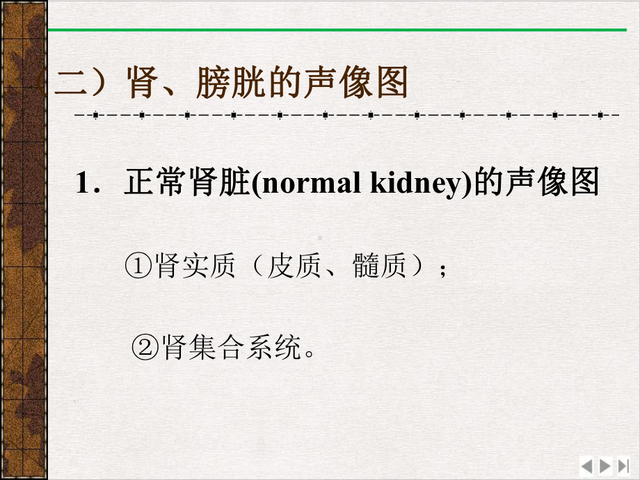 泌尿系统的超声诊断完美版课件.pptx_第2页