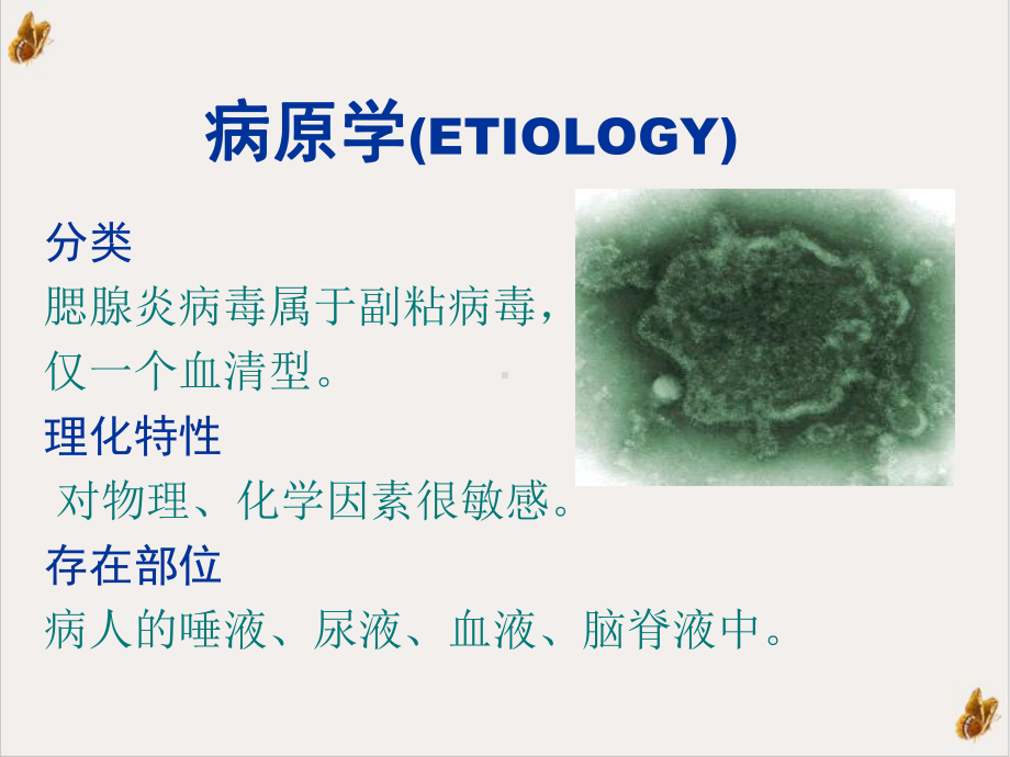 流行性腮腺炎定培训课件.pptx_第2页