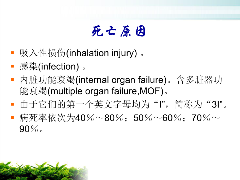 烧伤急救措施与创面处理课件.pptx_第3页