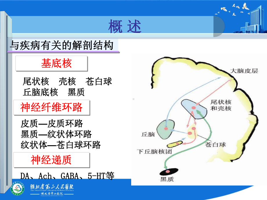 帕金森病小讲课课件.ppt_第3页