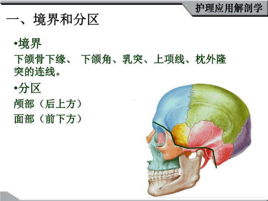 最新护理应用解剖2章头部课件.ppt_第3页