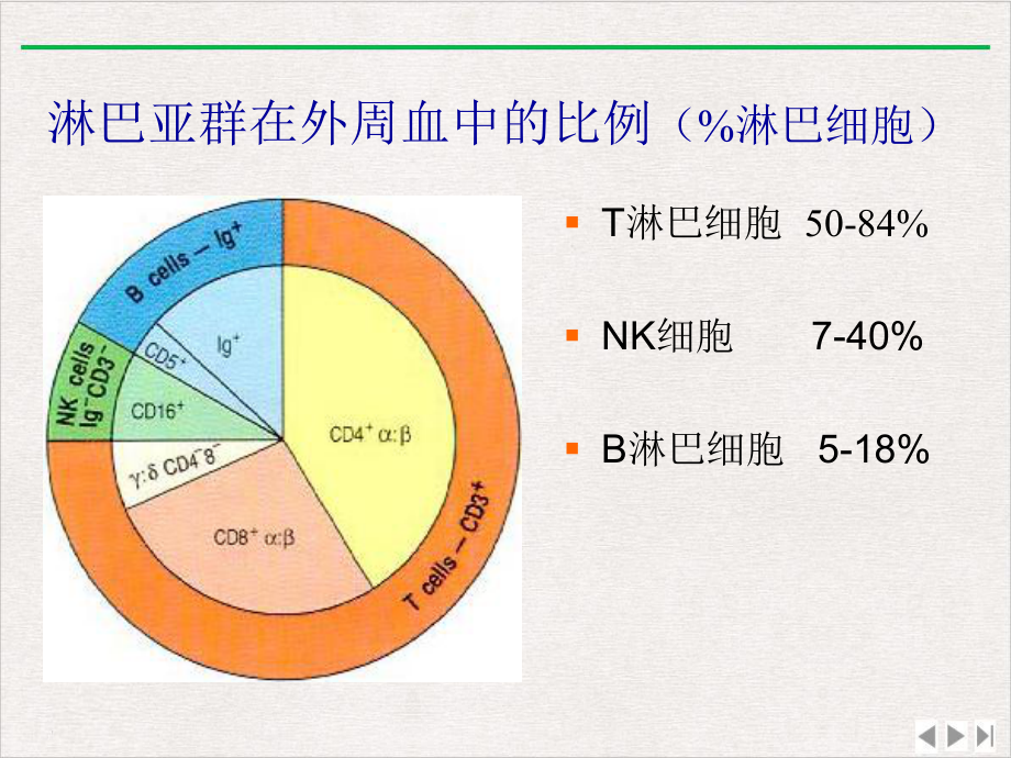 淋巴细胞亚群与临床课件.pptx_第3页