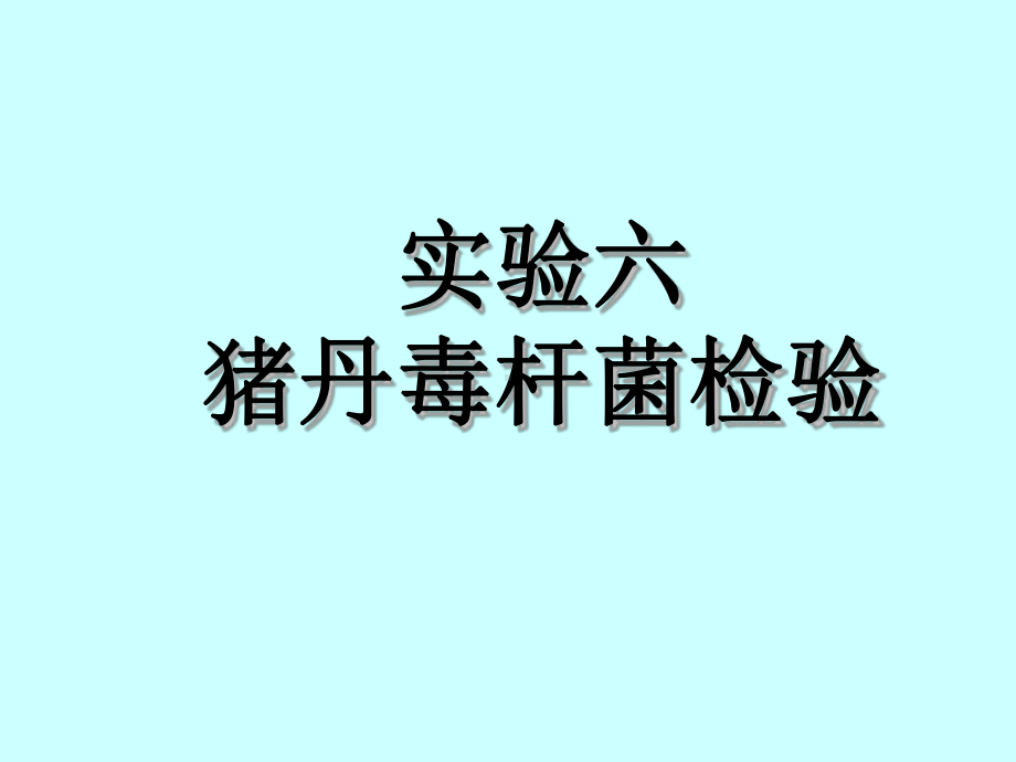 猪丹毒杆菌的检验课件.ppt_第1页