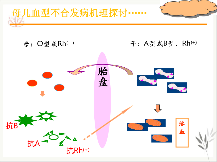 母儿血型不合课件.pptx_第2页