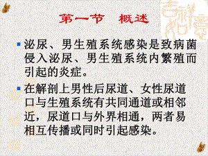 泌尿感染学习课件.pptx