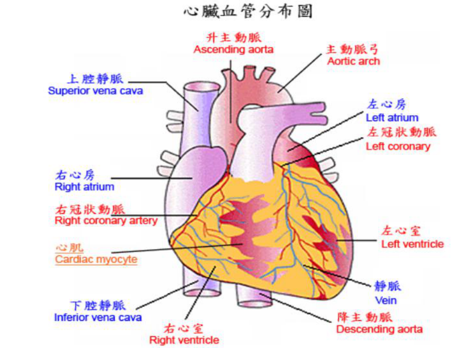 心肌梗死患者护理查房(同名635)课件.ppt_第2页