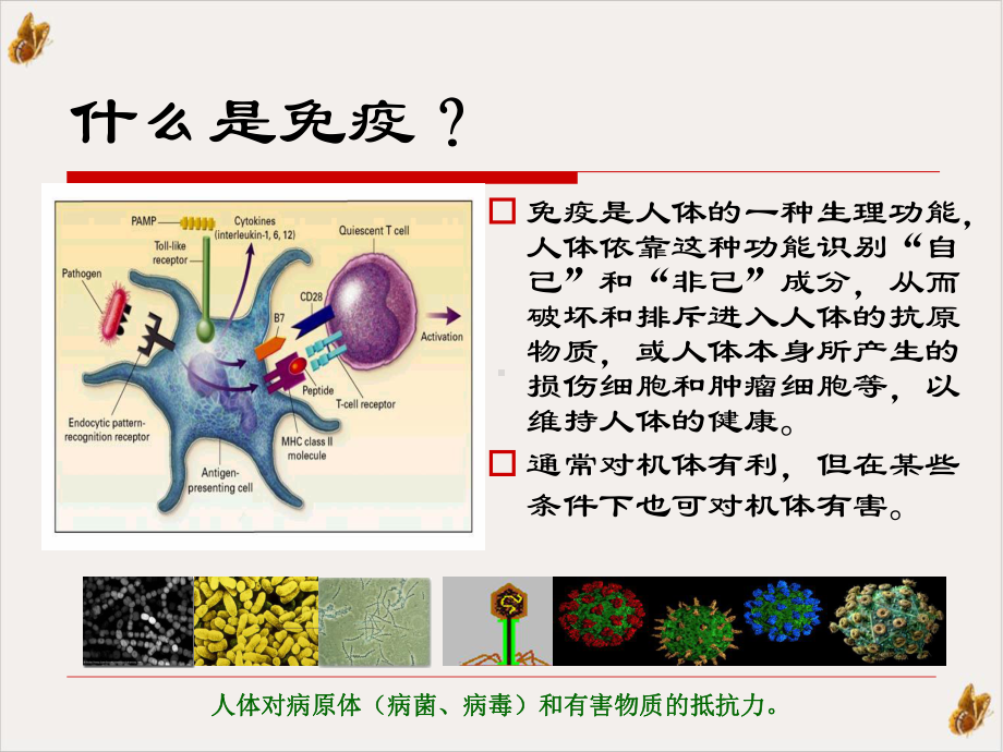 环磷酸腺苷与免疫力课件.pptx_第1页