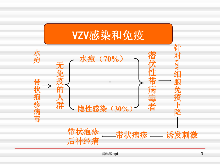 带状疱疹后神经痛的治疗方法医学课件.ppt_第3页